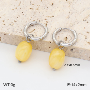 2E4005427vail-706  Stainless Steel Earrings