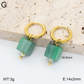 2E4005430avja-706  Stainless Steel Earrings