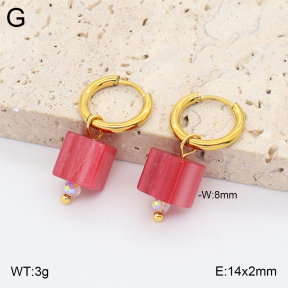 2E4005432avja-706  Stainless Steel Earrings