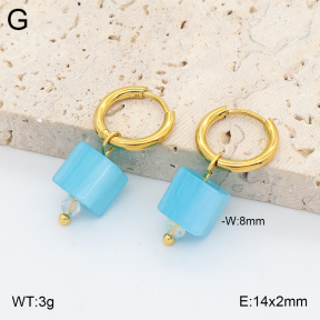 2E4005434avja-706  Stainless Steel Earrings