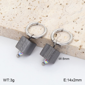 2E4005435vail-706  Stainless Steel Earrings