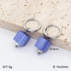 2E4005436vail-706  Stainless Steel Earrings