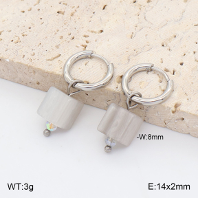 2E4005437vail-706  Stainless Steel Earrings