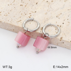 2E4005439vail-706  Stainless Steel Earrings