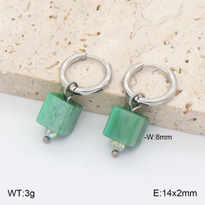 2E4005441vail-706  Stainless Steel Earrings