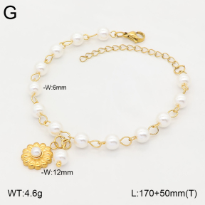 2B3004671bbov-706  Stainless Steel Bracelet