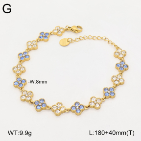 2B4006074ahlv-312  Stainless Steel Bracelet