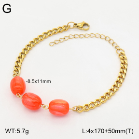 2B4006102baka-706  Stainless Steel Bracelet