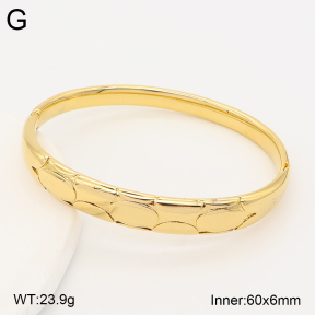 2BA202838bhhj-775  Stainless Steel Bangle