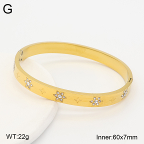 2BA403004bhjo-775  Stainless Steel Bangle