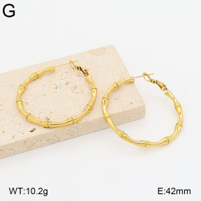 2E2007353ahlv-649  Stainless Steel Earrings