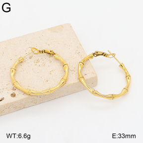 2E2007354bhia-649  Stainless Steel Earrings