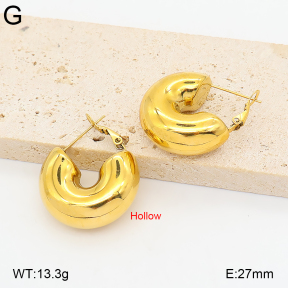 2E2007355bhia-649  Stainless Steel Earrings