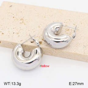 2E2007356bhva-649  Stainless Steel Earrings