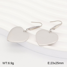 2E2007483vbnb-706  Stainless Steel Earrings