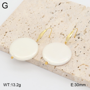 2E3004252aajl-706  Stainless Steel Earrings