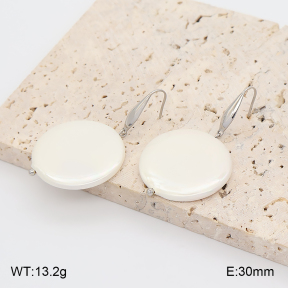 2E3004253avja-706  Stainless Steel Earrings