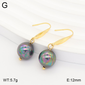 2E3004254avja-706  Stainless Steel Earrings