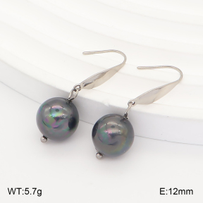 2E3004255vail-706  Stainless Steel Earrings