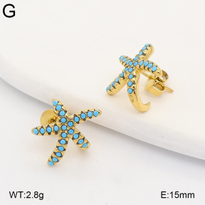 2E4005390bhva-649  Stainless Steel Earrings