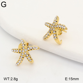 2E4005391bhva-649  Stainless Steel Earrings