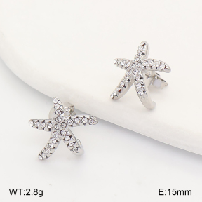 2E4005392bbov-649  Stainless Steel Earrings