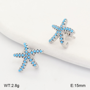 2E4005393bbov-649  Stainless Steel Earrings