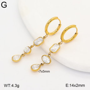 2E4005394vhkb-649  Stainless Steel Earrings