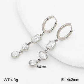 2E4005395bhia-649  Stainless Steel Earrings