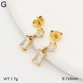 2E4005396abol-649  Stainless Steel Earrings