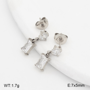 2E4005397vbnb-649  Stainless Steel Earrings