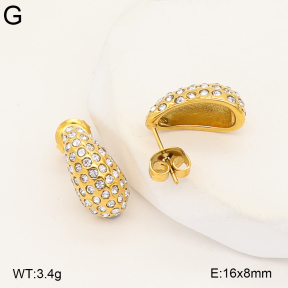 2E4005398bhbl-649  Stainless Steel Earrings