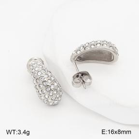 2E4005399bvpl-649  Stainless Steel Earrings