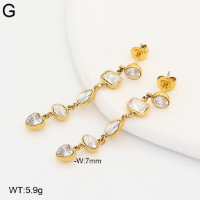 2E4005400bhia-649  Stainless Steel Earrings