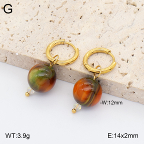 2E4005412avja-706  Stainless Steel Earrings