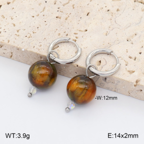 2E4005413vail-706  Stainless Steel Earrings