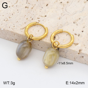 2E4005414avja-706  Stainless Steel Earrings