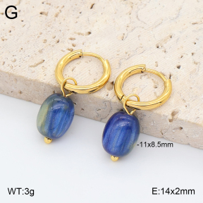2E4005417avja-706  Stainless Steel Earrings