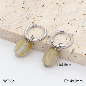 2E4005422vail-706  Stainless Steel Earrings