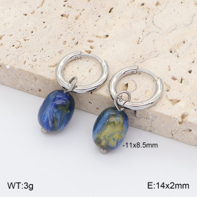2E4005423vail-706  Stainless Steel Earrings