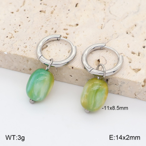 2E4005425vail-706  Stainless Steel Earrings