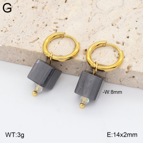 2E4005428avja-706  Stainless Steel Earrings