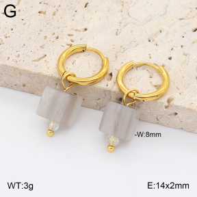 2E4005429avja-706  Stainless Steel Earrings