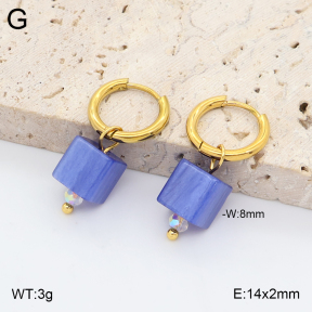 2E4005431avja-706  Stainless Steel Earrings