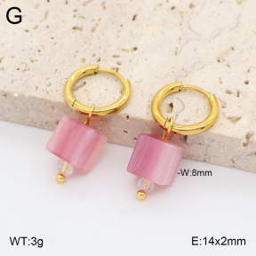 2E4005433avja-706  Stainless Steel Earrings