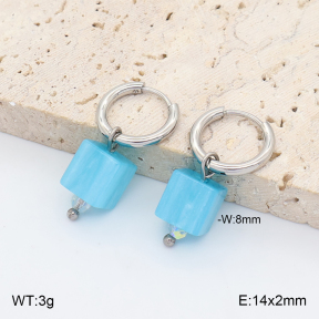 2E4005438vail-706  Stainless Steel Earrings