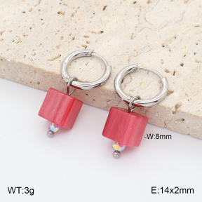 2E4005440vail-706  Stainless Steel Earrings