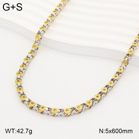 2N2009387bhia-775  Stainless Steel Necklace