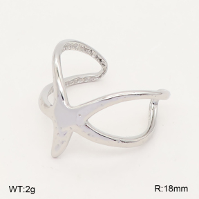 2R2002482ablb-649  6-9#  Stainless Steel Ring