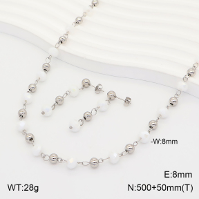 2S0013685abol-706  Stainless Steel Set